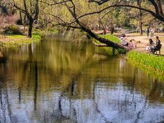 -上海共青森林公园