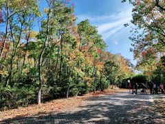 -上海海湾国家森林公园