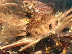 -江南赋(内蒙古大厦店)