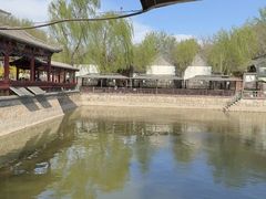 -尚庄度假村·庭台树下·户外烧烤·团建CS·轰趴营地(上庄水库店)