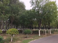 -东郊湿地公园