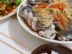 -煲来饱去冷水鱼