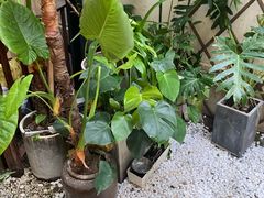 -边渡咖啡烘焙店(昙华林店)