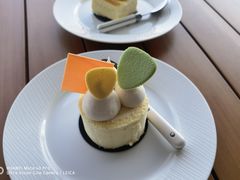 -东方美谷JW万豪酒店·The lounge大堂吧