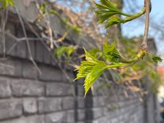 -民园广场