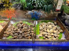 -鼎香缘海鲜自助火锅烤肉(锦辉购物广场店)