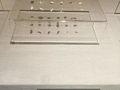 -张掖市博物馆