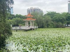 -煲煲掂风味煲仔饭餐厅(西区店)