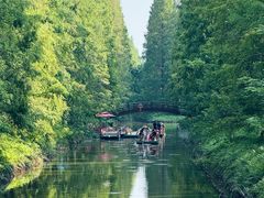 -黄海国家森林公园