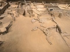 -洛阳周王城天子驾六博物馆