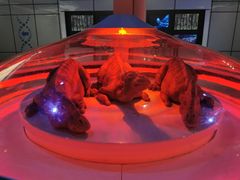-侏罗纪世界电影特展(广州站)