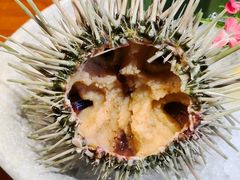 海胆-三月居酒屋(青年大街店)