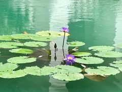 -吴哥国家博物馆