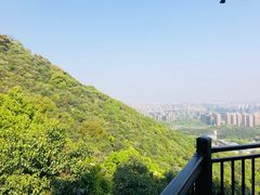 -杭州半山国家森林公园