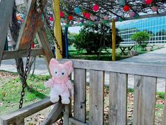 -苏州太湖西山岛开心农场