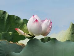 -梁鸿国家湿地公园