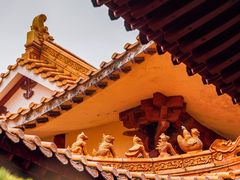 -深圳仙湖植物园