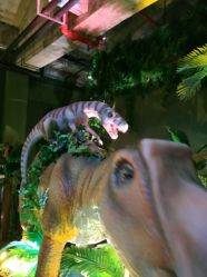 -恐龙探索乐园(磁器口店)