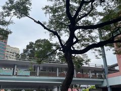 -香港科学馆