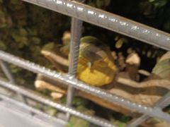 -湘当爱·鲜煮现炒(松岗立业路店)