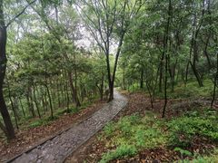 -上海佘山国家森林公园天马山园