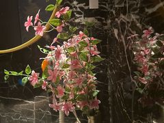 -陆琴脚艺·足浴·SPA(夫子庙店)