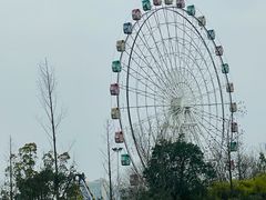 -洋湖国家湿地公园