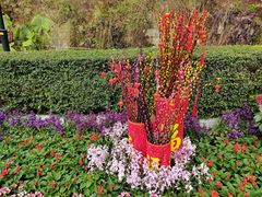 -三门江国家森林公园