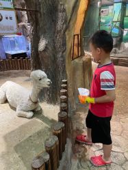 -宝燕乐园(闵行旗舰店)