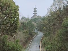 -苏州上方山国家森林公园