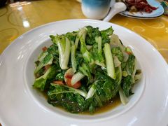 新疆番茄毛白菜-新疆巴州金丝特餐厅(大钟寺店)