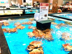 面包蟹-盒马鲜生(王府广场店)