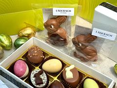 -Laderach 莱德拉(上海环贸iapm店)