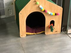 -蜜蜂小象·榴莲千层蛋糕(时代汇11栋店)