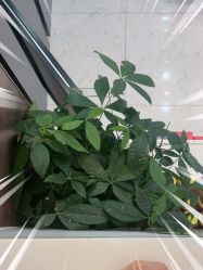 -LJOY丽锦造型·烫发染发