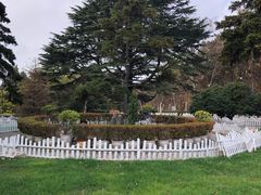 -青岛德国总督楼旧址博物馆