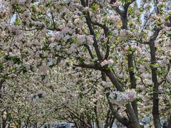 -元大都城垣遗址公园