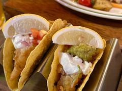 -Famous肥猫墨西哥音乐餐吧(五棵松华熙LIVE店)