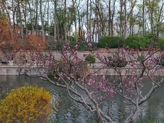 -元大都城垣遗址公园