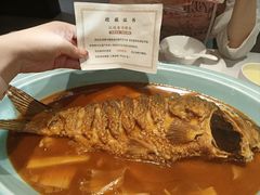 -阿五黄河大鲤鱼(英协路店)