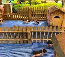 -萌宠亲子动物乐园(槐房万达店)