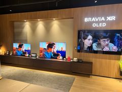 -Sony Store索尼(广州正佳店)