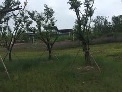 -三岔湖景区