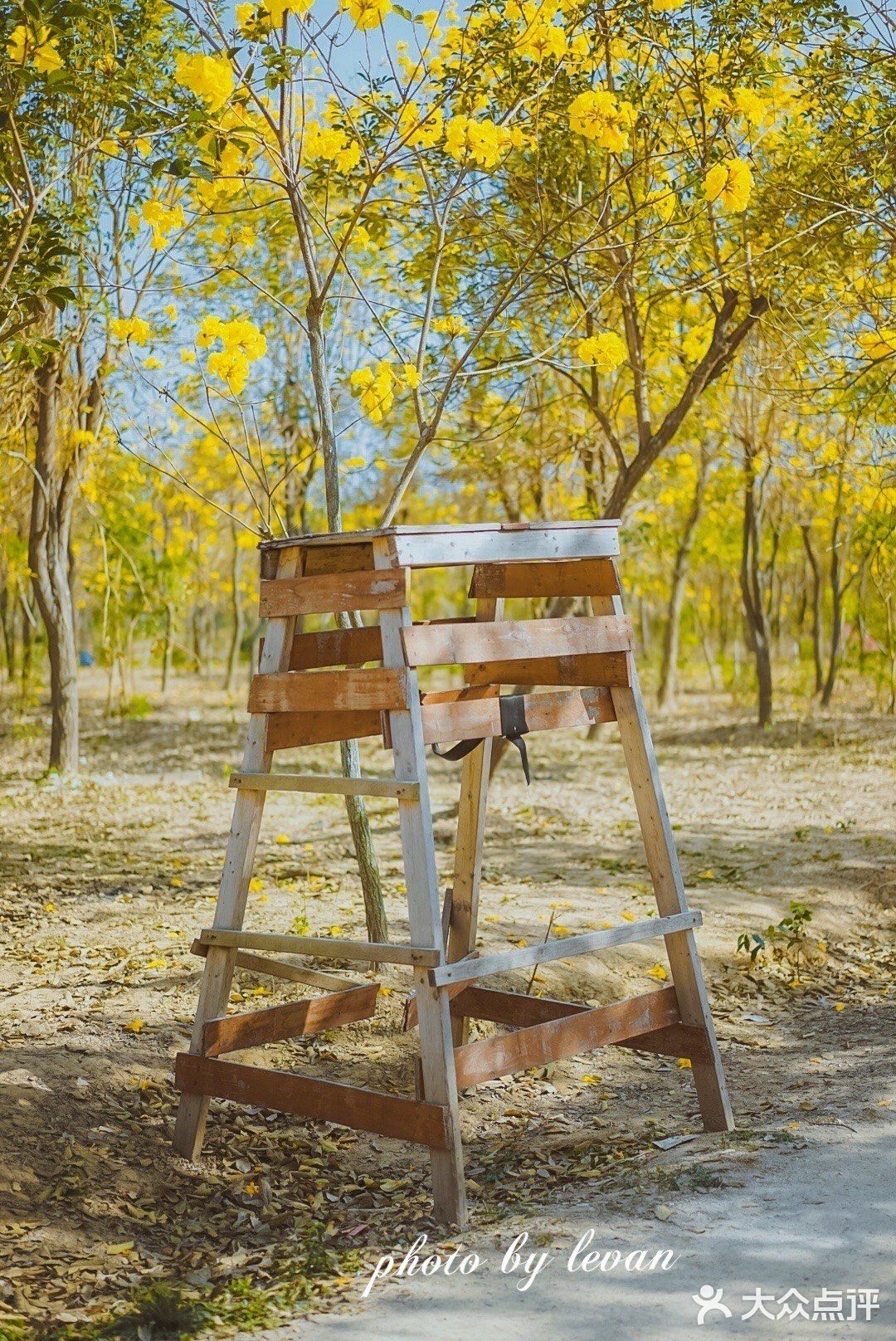 惠州周边游｜春节快乐的好去处[调皮]