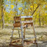 惠州周边游｜春节快乐的好去处[调皮]