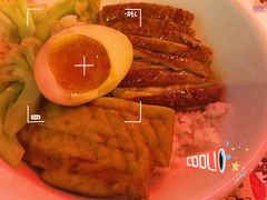 金奖卤鹅肉饭-陈鹏鹏潮汕菜(宝安机场T3航站楼店)