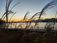 -野鸭湖国家湿地公园