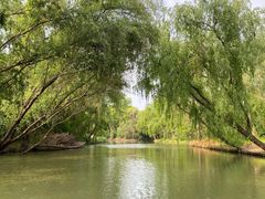-同里国家湿地公园