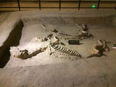 -洛阳周王城天子驾六博物馆