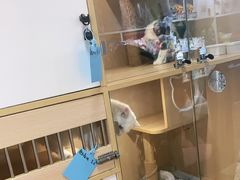 -唐小姐の猫狗洗护·购宠旗舰店(周浦万达店)